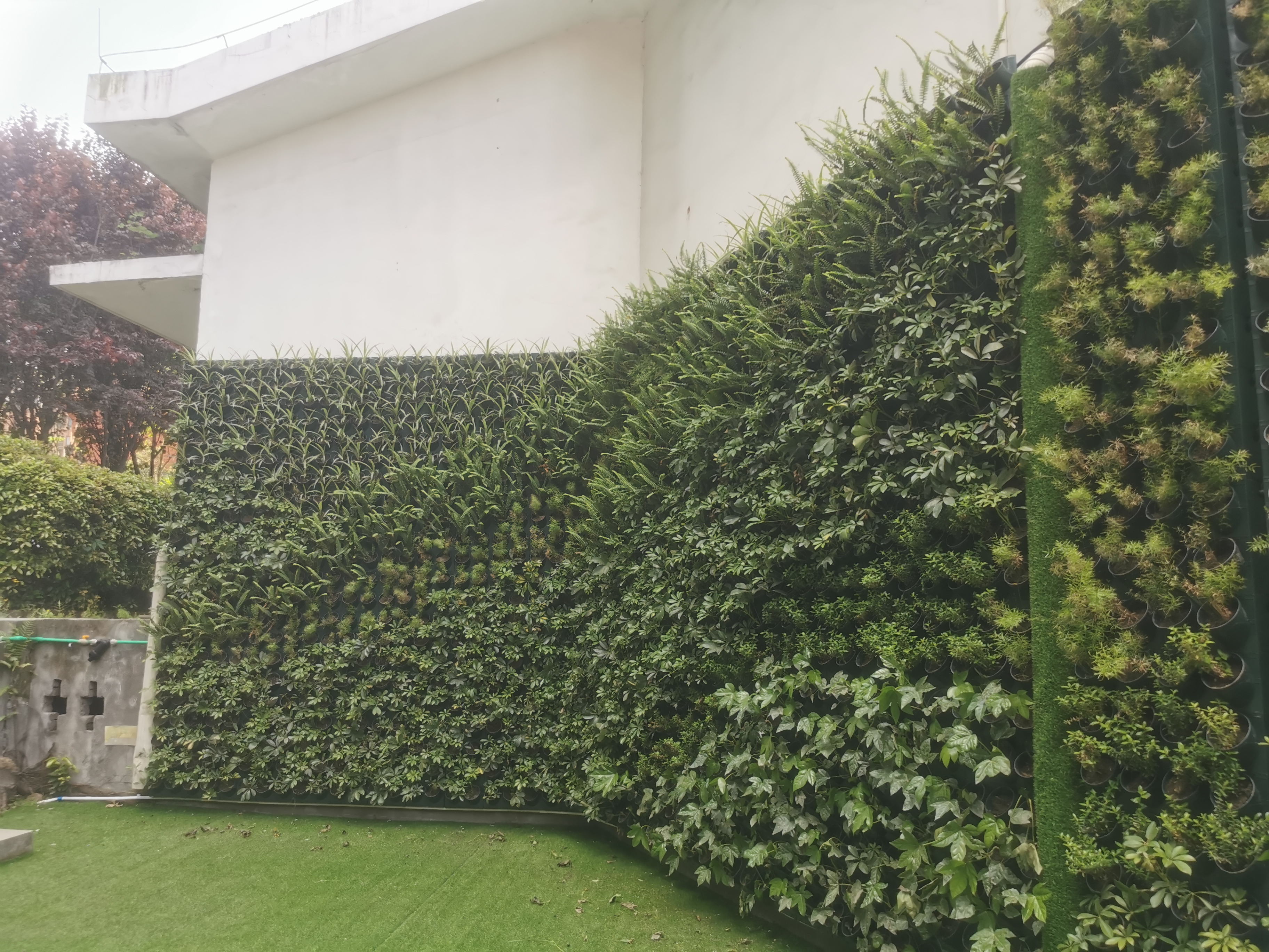 重慶植物墻，讓建筑與自然共生